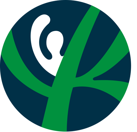 KWSV Logo